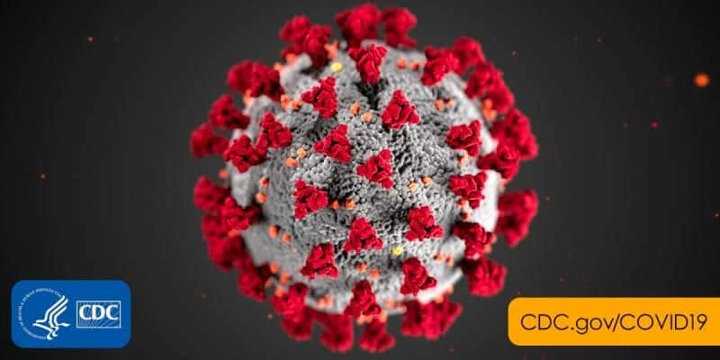 corona virus