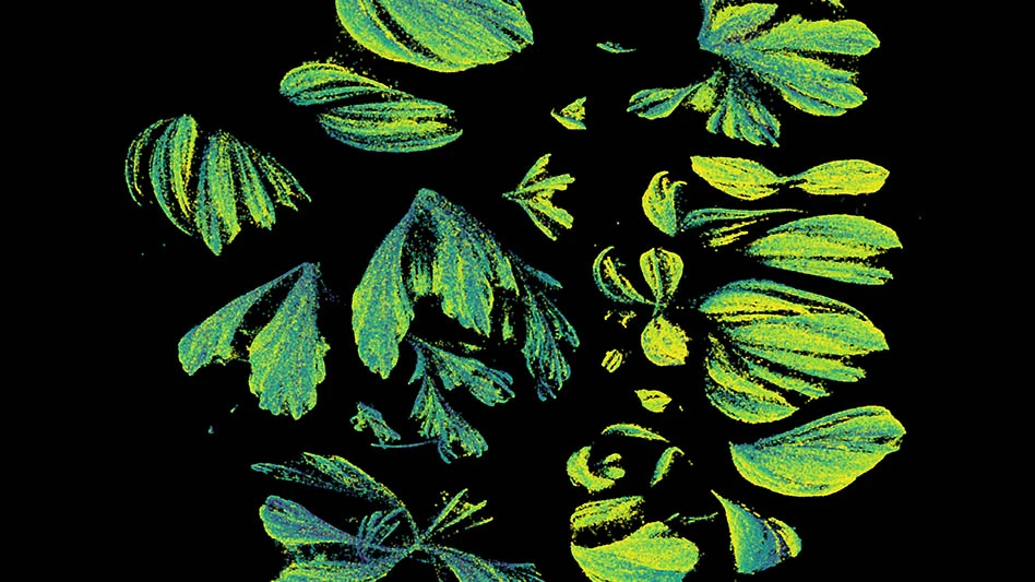 A green pattern on a black background
