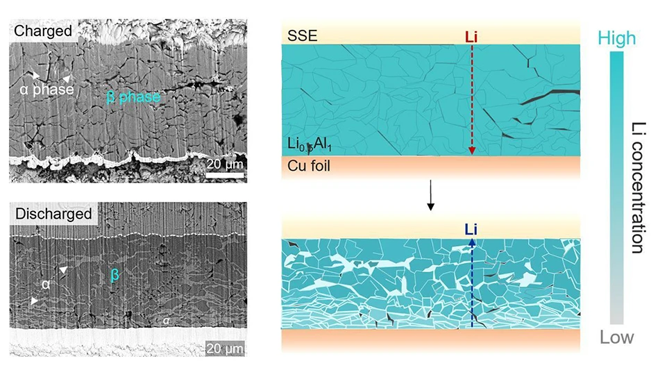 Microscope images and schematic illustrations of a lithium-aluminum alloy electrode with enhanced lithium diffusion pathways.